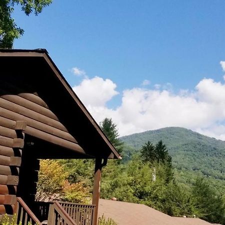 Tanglewood Motel And Log Cabins 马吉谷 外观 照片