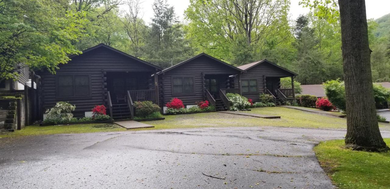Tanglewood Motel And Log Cabins 马吉谷 外观 照片