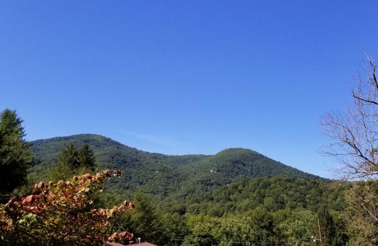 Tanglewood Motel And Log Cabins 马吉谷 外观 照片