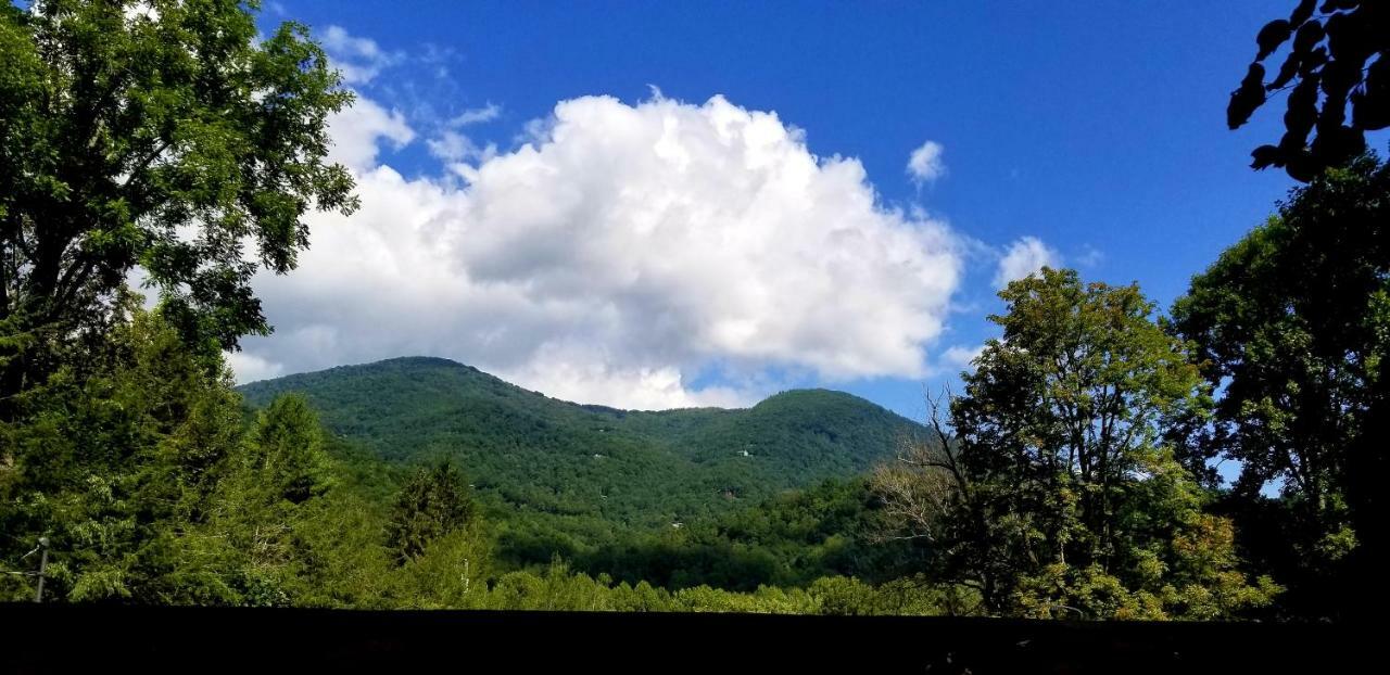 Tanglewood Motel And Log Cabins 马吉谷 外观 照片