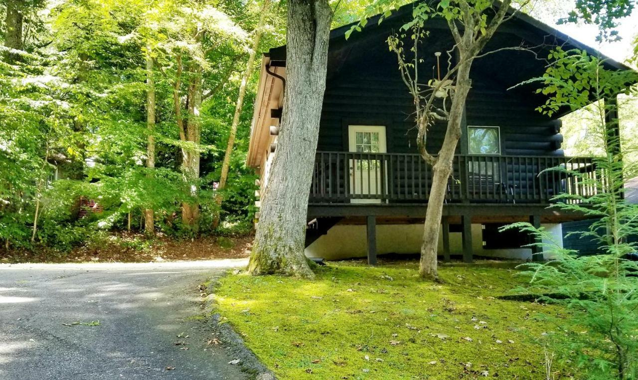 Tanglewood Motel And Log Cabins 马吉谷 外观 照片